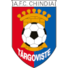 辛迪泰哥维斯特